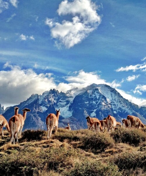 Chile Out: Vistas With a View