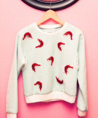 Inside the Closets of Singers