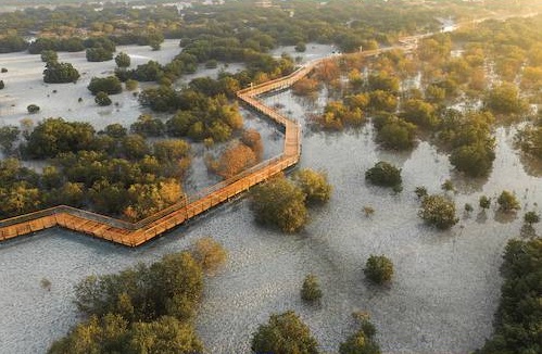 Jubail Mangrove Park in Abu Dhabi
