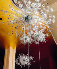 The Most Beautiful Thing in the World Today: Chandeliers