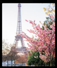 The annual cultural celebration takes over the city the first week of October with gallery openings, events and more