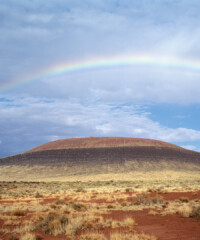 The Buzziest Lots from Sean Penn’s Haiti Benefit Auction