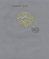 A Rare Jewelry Collaboration