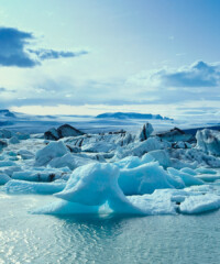 Hop from One Pole to Another in a Private Jet Don’t apologize, don’t be dull and, please, don’t picture the audience naked. A public-speaking expert reveals his secrets