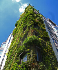 Gardens Are (Literally) Growing Up