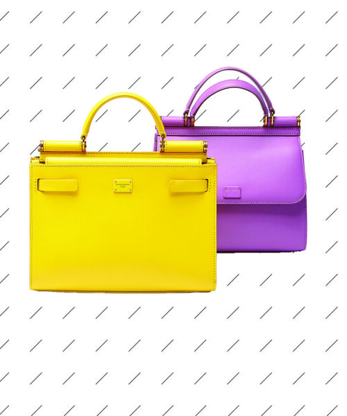 Celebrating Dolce & Gabbana in Style