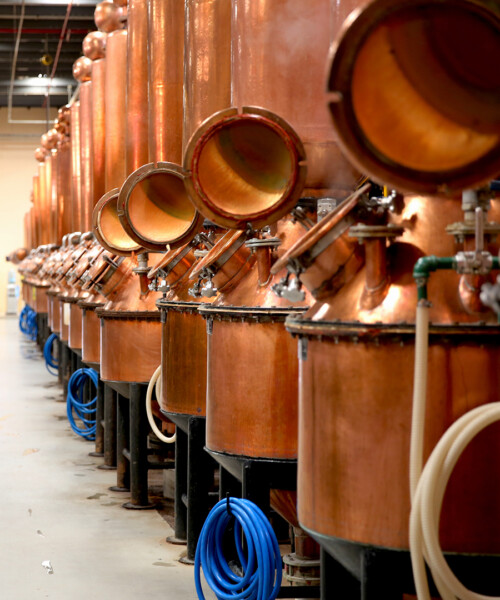 The Double Life of Patrón Tequila