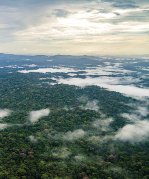 Islands In The Firestorm