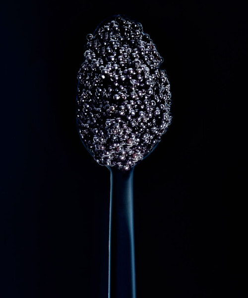 10 Things to Know About Caviar