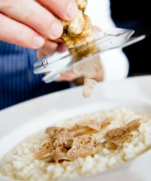 Tempting Truffle Tasting Menus