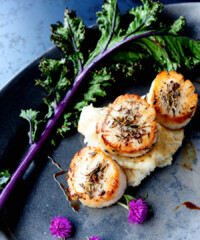 The Best Restaurants in Houston Jessica Alba gets Gwyneth Paltrow-esque in her new book. We weigh in.