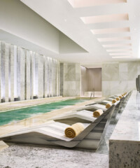 New at the Fontainebleau