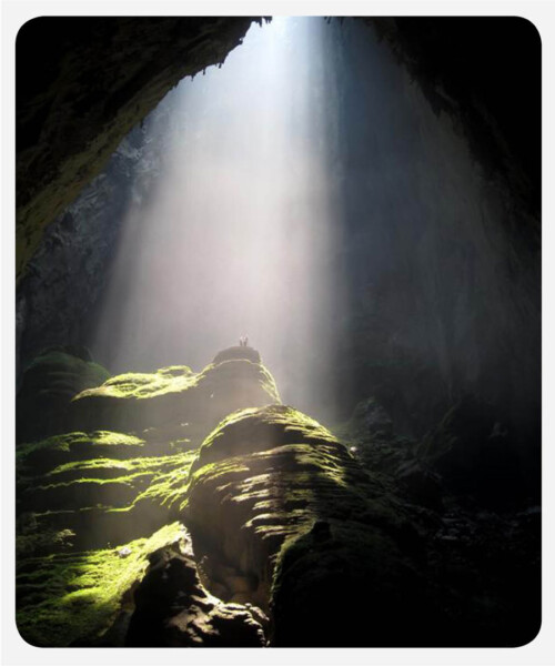 Shopping for Children in Chi-Town