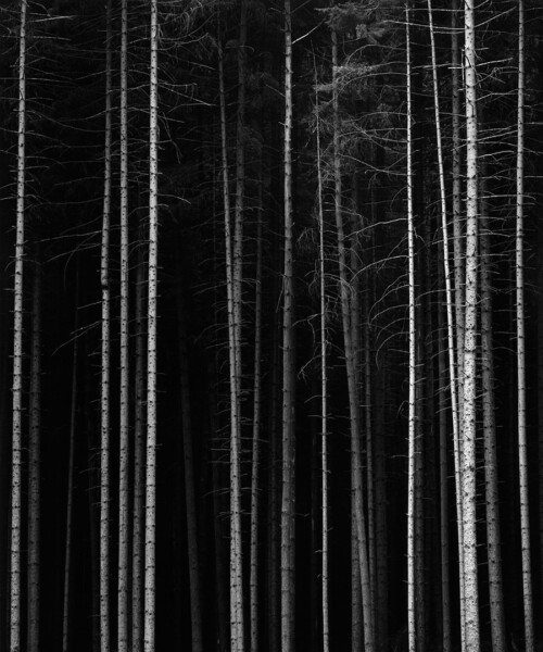 Murder in the Mountains